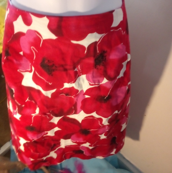 BRIGGS New York Skirt - Picture 3 of 11